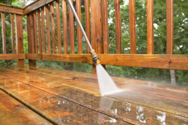 Best Fence Cleaning  in Indnola, IA